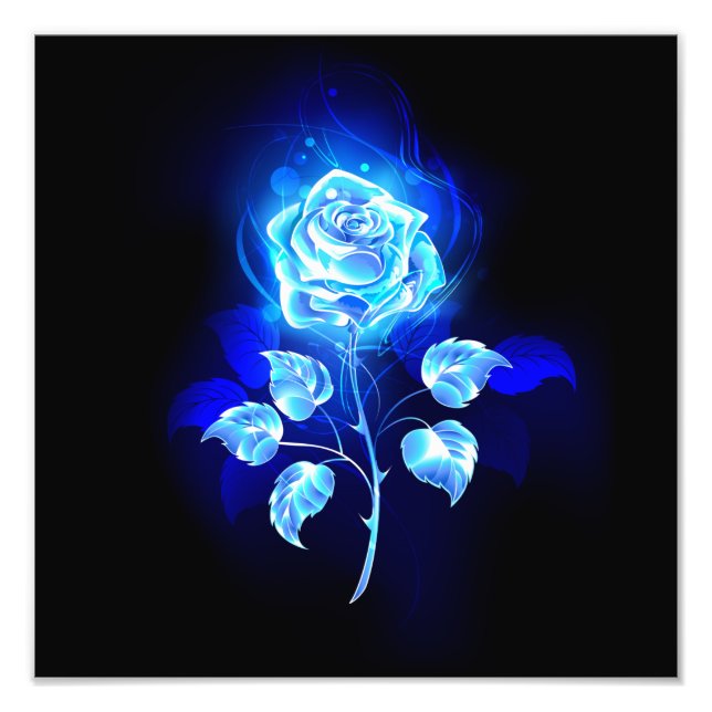 Foto Rosa azul en llamas (Frente)