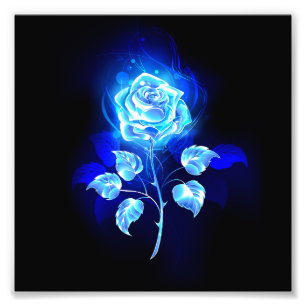 Foto Rosa azul en llamas