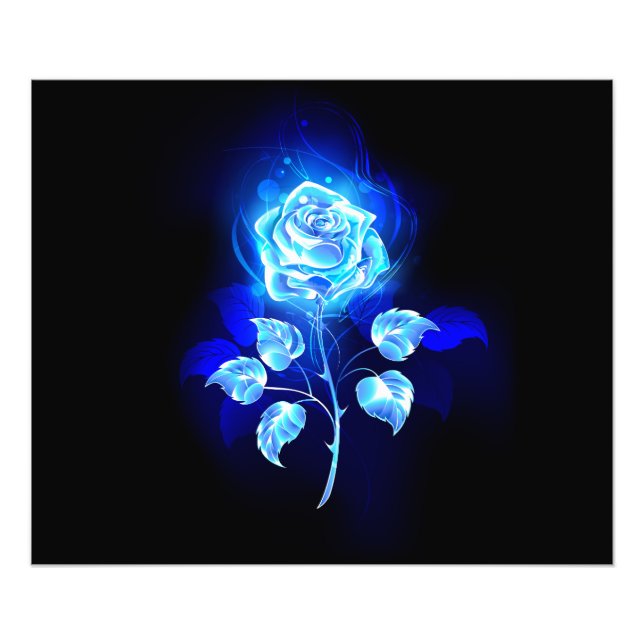 Foto Rosa azul en llamas (Frente)