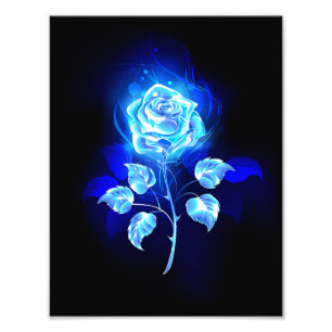Foto Rosa azul en llamas