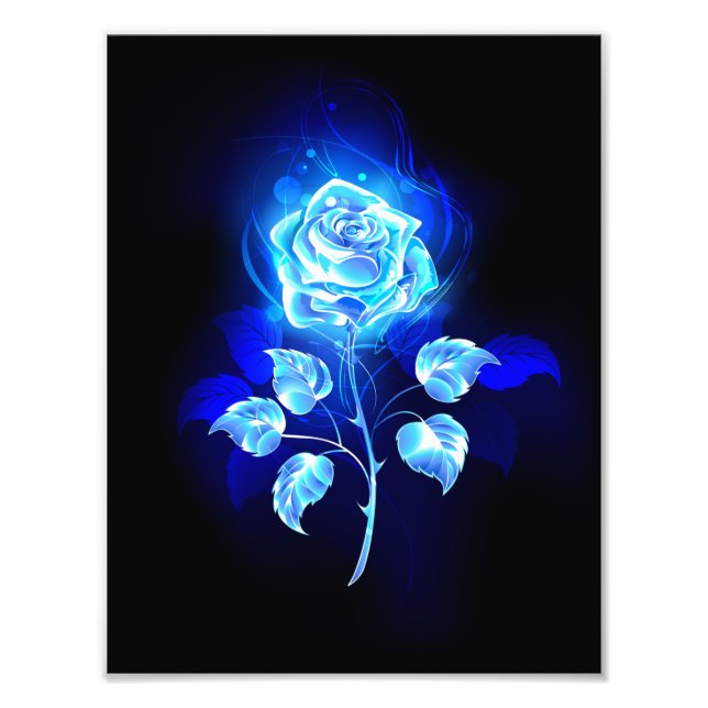 Foto Rosa azul en llamas (Frente)