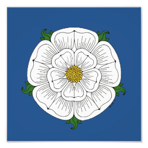 Foto Rosa Blanca de York