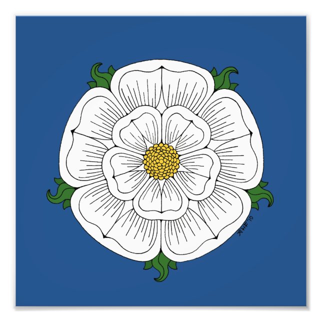 Foto Rosa Blanca de York (Frente)