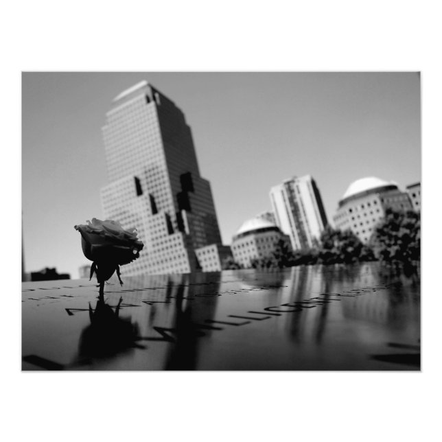 Foto Rosa blanca del recuerdo (Frente)