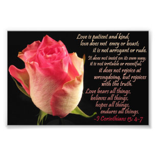 Foto Rosa con I Cor. 13: 4-7