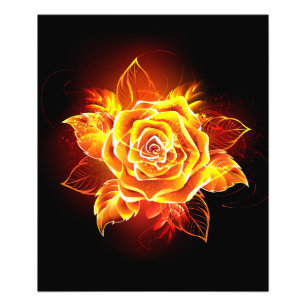 Foto Rosa de Fuego Floreciendo