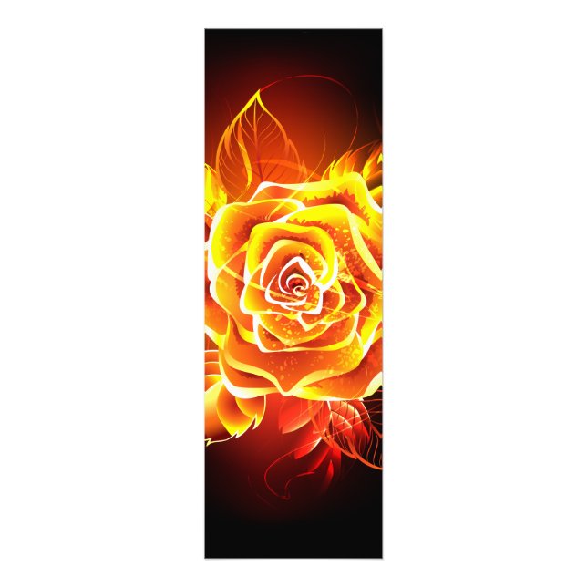 Foto Rosa de Fuego Florido (Frente)