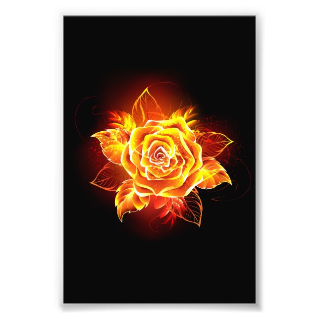 Foto Rosa de incendios en auge (Frente)