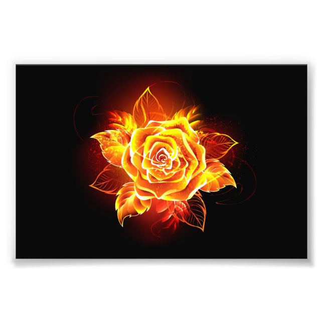 Foto Rosa de incendios en auge (Frente)