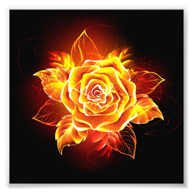 Foto Rosa de incendios en auge (Frente)