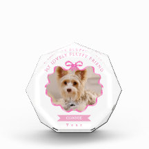 Foto rosa de la memoria del Mascota de cinta de op