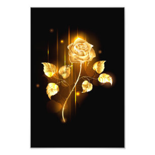 Foto Rosa de oro (rosa de oro)