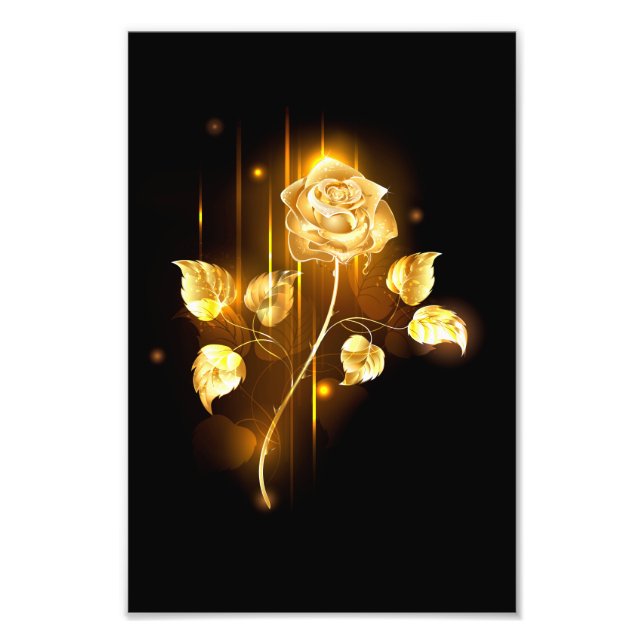 Foto Rosa de oro (rosa de oro) (Frente)