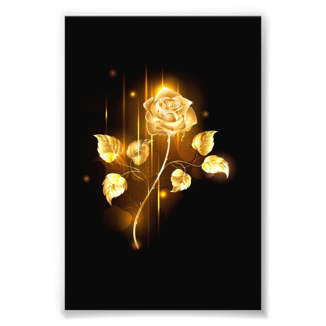 Foto Rosa de oro (rosa de oro) (Frente)