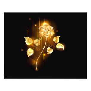 Foto Rosa de oro (rosa de oro)