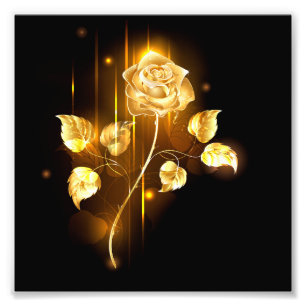 Foto Rosa de oro (rosa de oro)