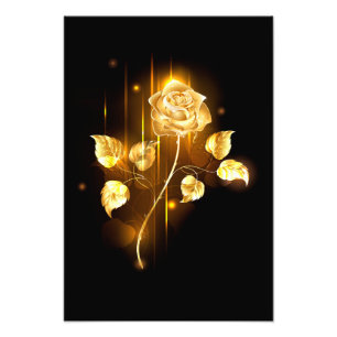 Foto Rosa de oro (rosa de oro)