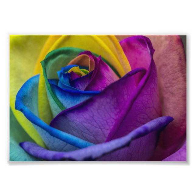 Foto Rosa del arcoiris abstracto (Frente)