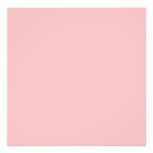 Foto Rosa del bebé (color sólido)