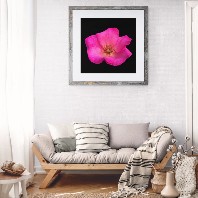 Foto Rosa Felt Pen (Subido por el creador)