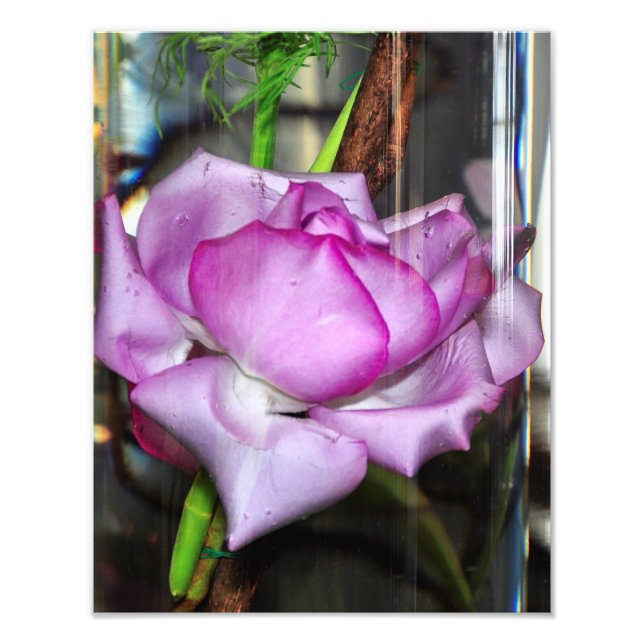 Foto Rosa morado en vidrio alto (Frente)