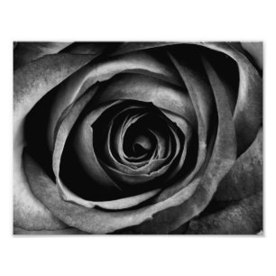 Foto Rosa Negra Flor Floral Decorativa Vintage