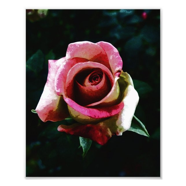 Foto Rosa Pintada al Óleo (Frente)