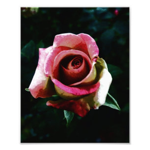 Foto Rosa roja pintada de petróleo