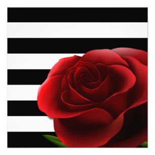 Foto Rosa rojo y rayas blancas negras