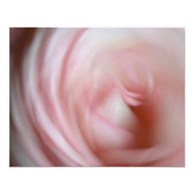 Foto Rosa rosa abstracta (Frente)