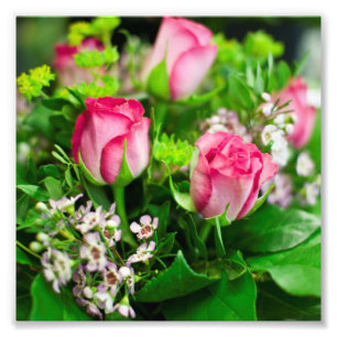Foto Rosa rosa Bouquet