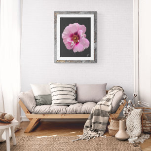 Foto Rosa rosa con Corazón Púrpura - pintura al óleo