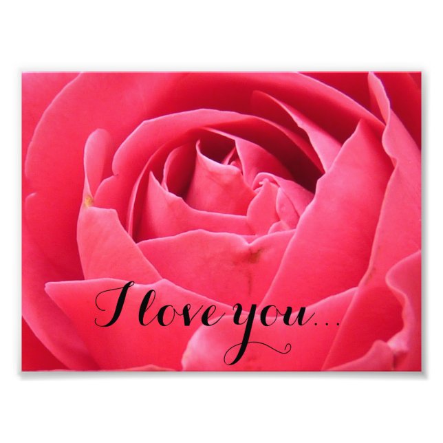 Foto rosa rosada (Frente)