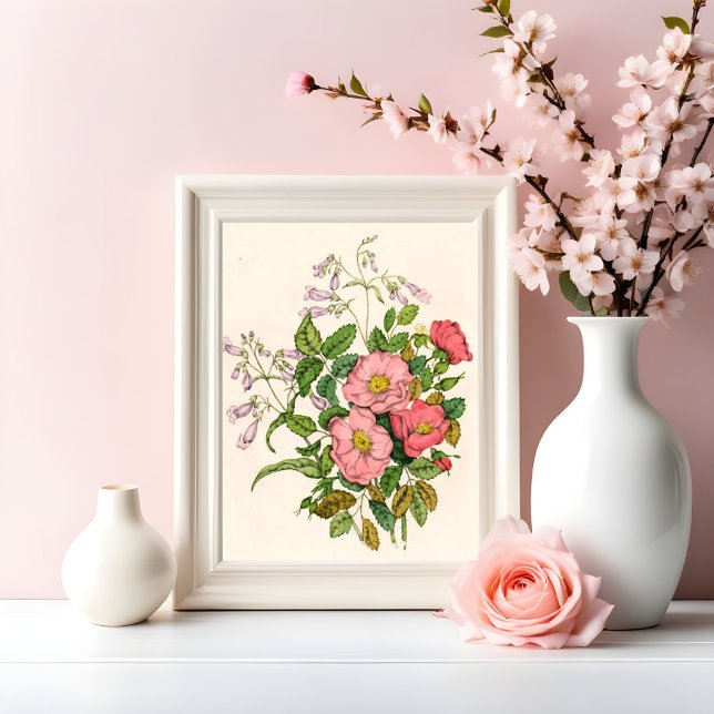 Foto Rosa silvestre temprano, Lengua de barba de Pentst (Subido por el creador)