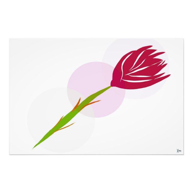 FOTO ROSA SOLITARIA (Frente)