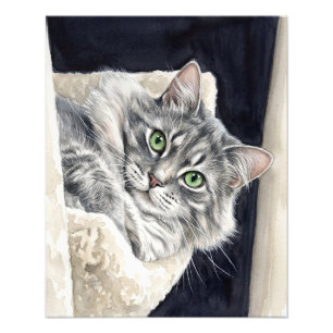 Foto Rosa un gato con ojos verdes llamativos