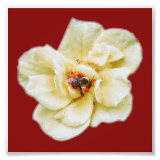 Foto Rosa y abeja (Frente)