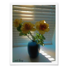 Foto Rosas a la luz del sol