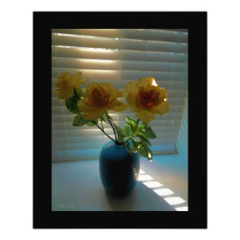 Foto Rosas a la luz del sol -