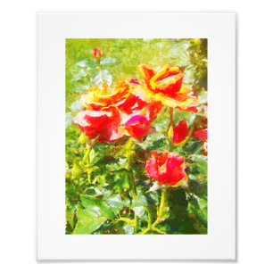Foto Rosas de Naranjas de impresión de KODAK
