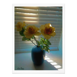 Foto Rosas en luz solar (2)