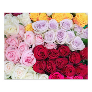 Foto Rosas mezcladas coloridas