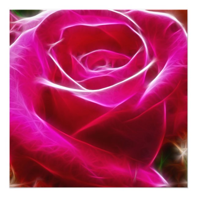 Foto Rosas Neon Pink Artístico y Único (Frente)