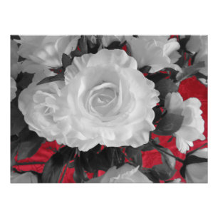 Foto rosas rojos blancos negros clásicos