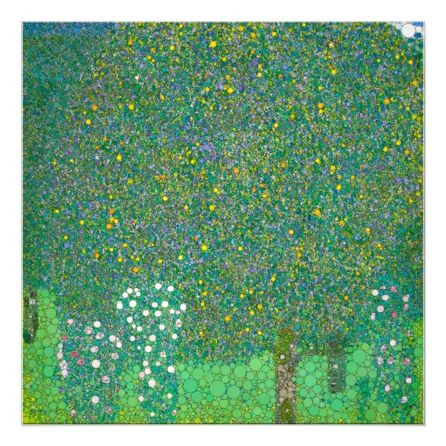 Foto Rosebushes bajo los árboles de después de Gustav K (Frente)