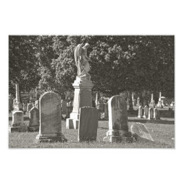 Foto Rosehill III