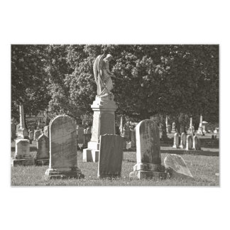 Foto Rosehill III