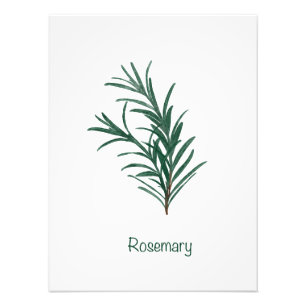 Foto Rosemary Kitchen Wall Art