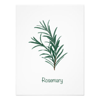Foto Rosemary Kitchen Wall Art