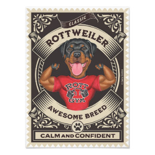 Foto Rottweiler Cute con los músculos